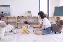 [8分钟科普]榆林有限公司_哔哩哔哩-2